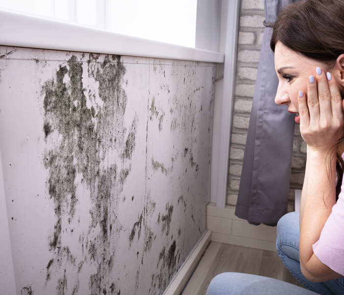 mold on drywall